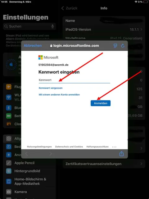 Apple Account am iPad anmelden 4